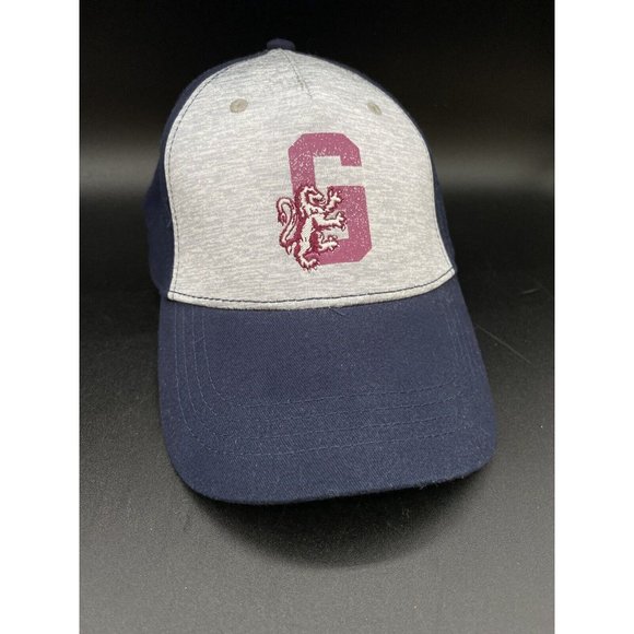 Harry Potter Gryffindor Snapback Cap Hat Official Licensed YOUTH - Picture 1 of 8